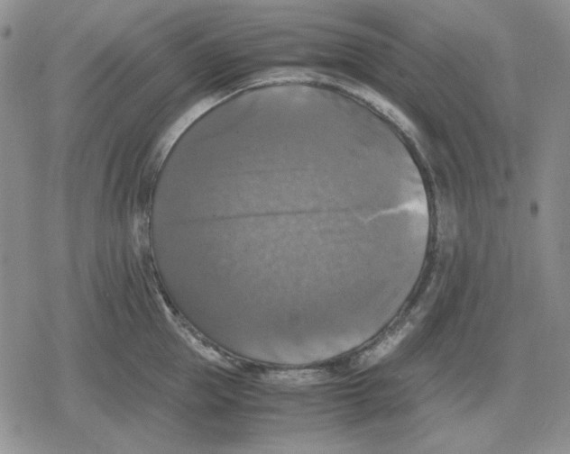 X0000079320953200612151814