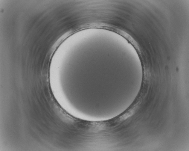 X0000079320954200612151814