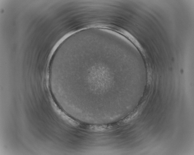 X0000079320955200612151814