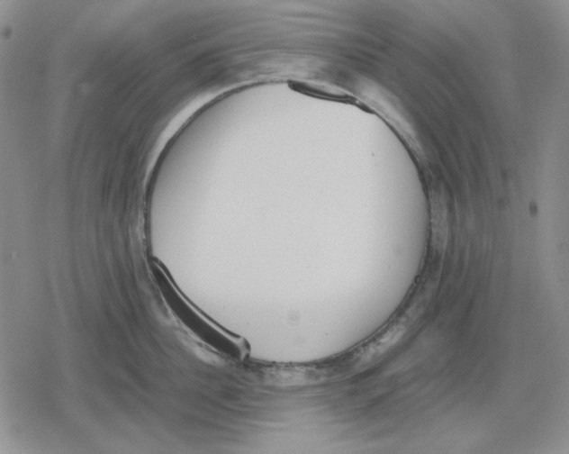 X0000079320956200612151814