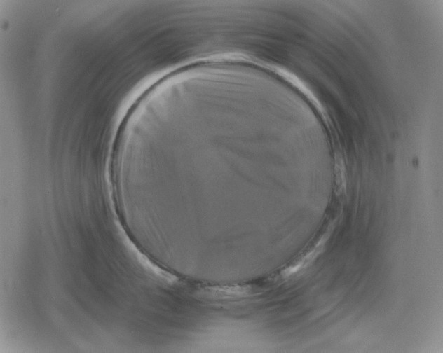 X0000079320959200612151814