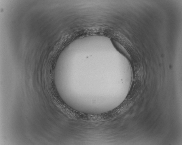 X0000079320961200612151813