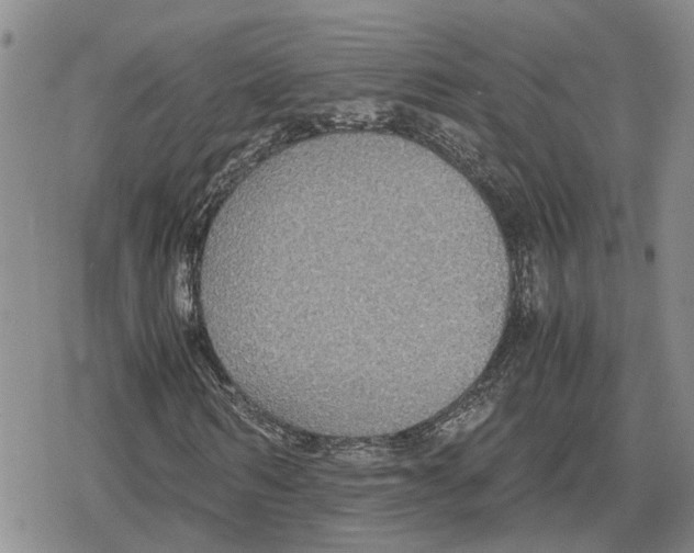 X0000079320962200612151813