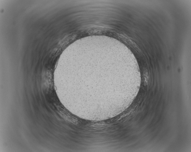 X0000079320964200612151813