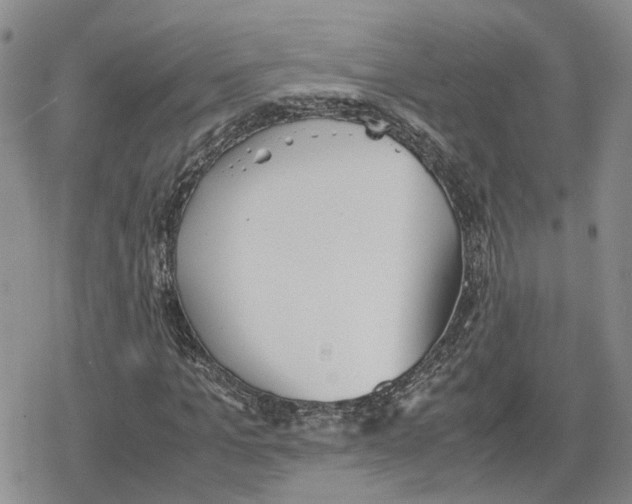 X0000079320965200612151813