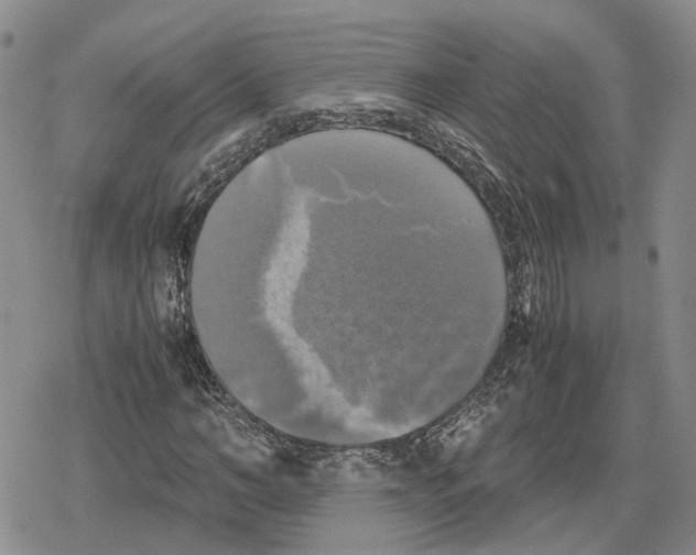 X0000079320966200612151813