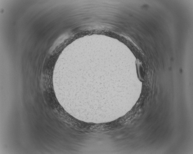 X0000079320967200612151813