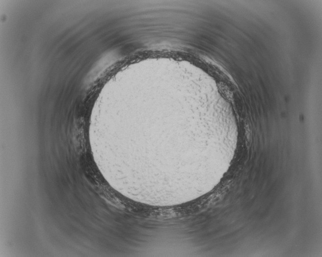 X0000079320968200612151813