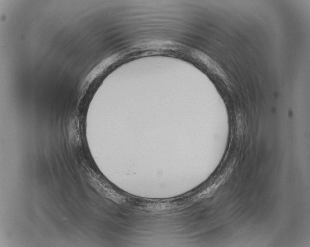 X0000079320970200612151813