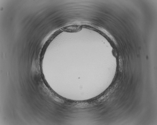 X0000079320972200612151813