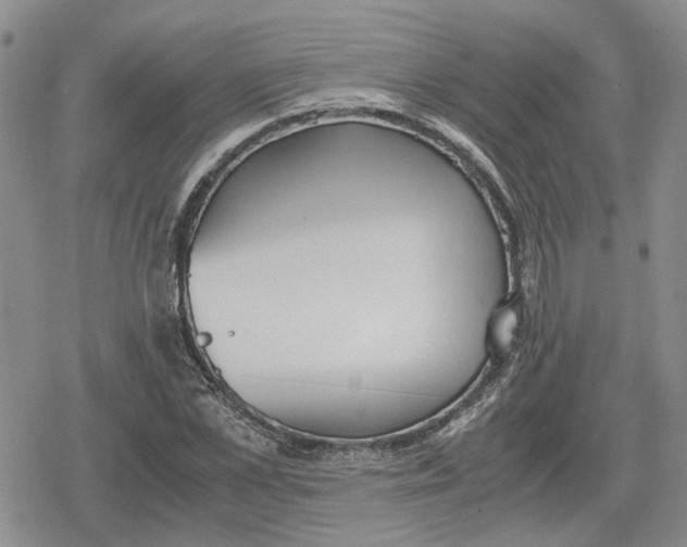 X0000079320973200612151813