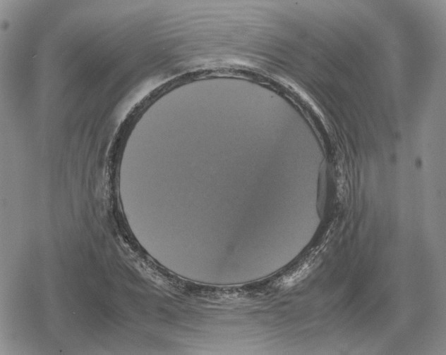 X0000079320975200612151813