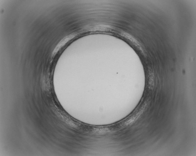 X0000079320978200612151813