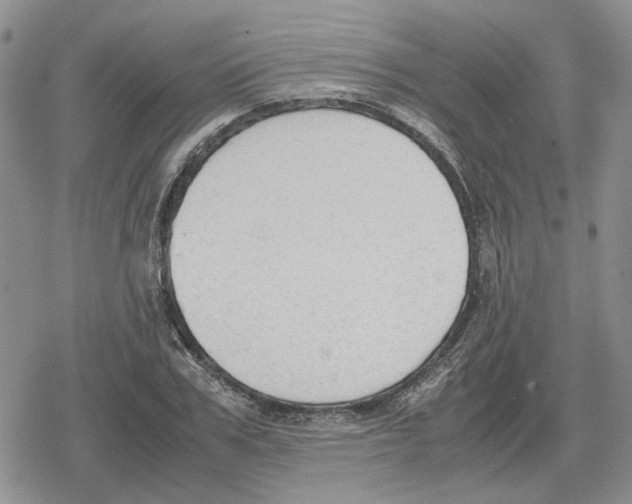 X0000079320979200612151813