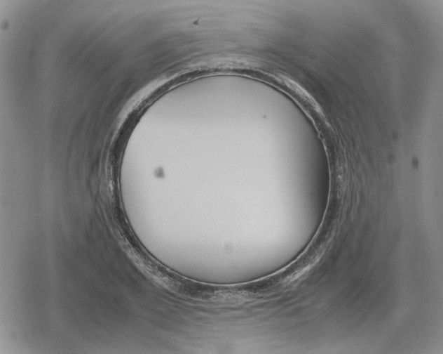 X0000079320981200612151813