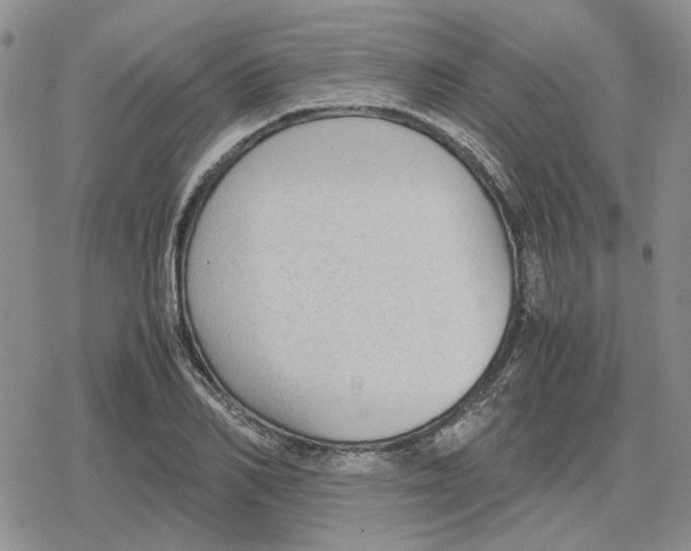 X0000079320982200612151813