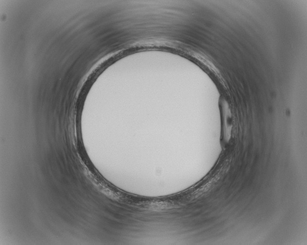 X0000079320984200612151813