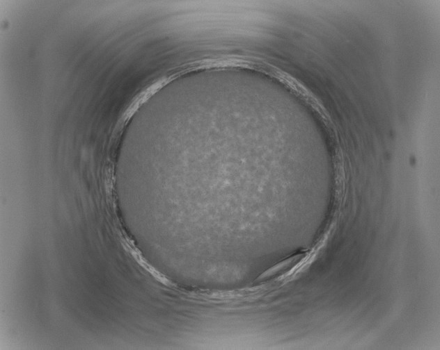 X0000079320985200612151813