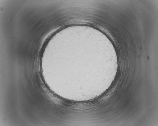 X0000079320987200612151813