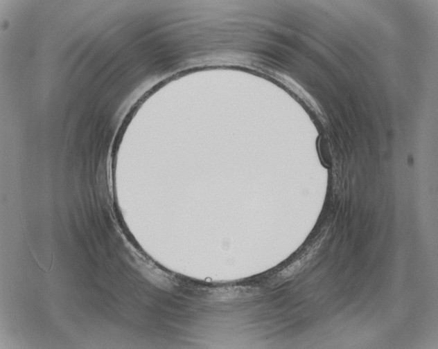 X0000079320988200612151813