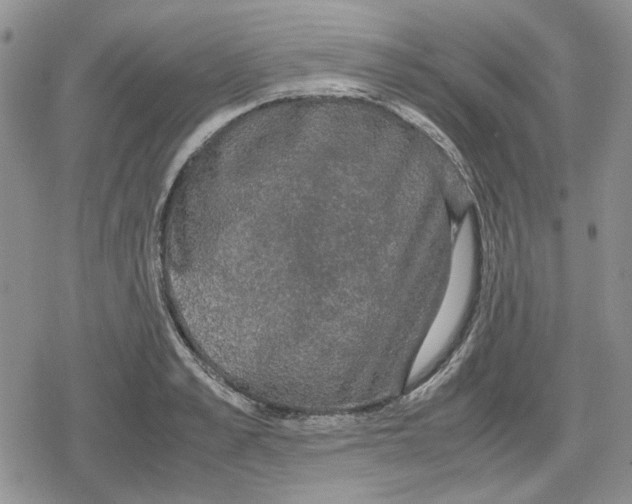 X0000079320989200612151813