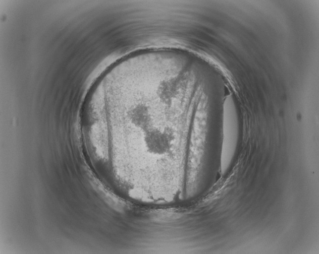 X0000079320990200612151813