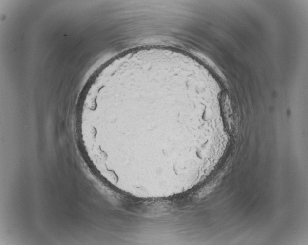 X0000079320991200612151813