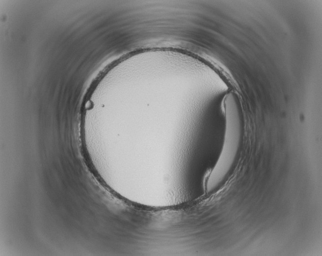 X0000079320992200612151813