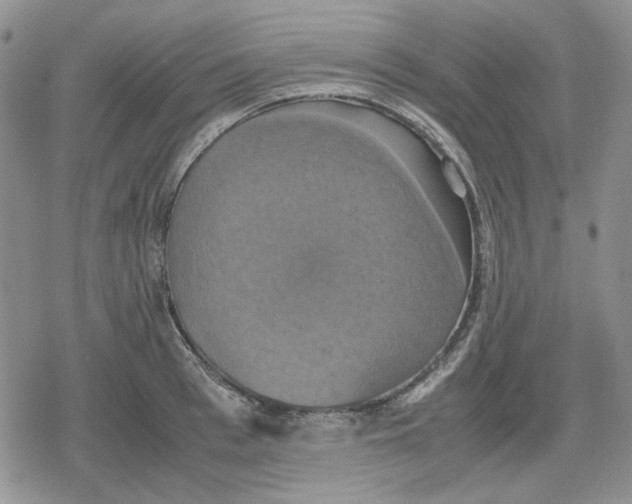 X0000079320993200612151813