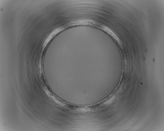 X0000079320994200612151813