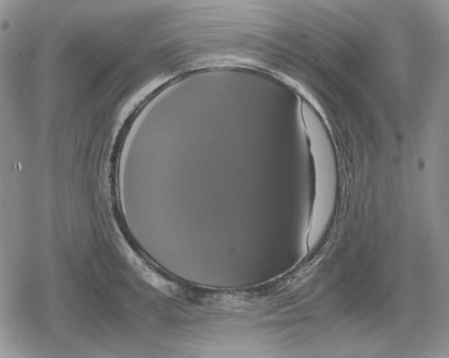 X0000079320995200612151813