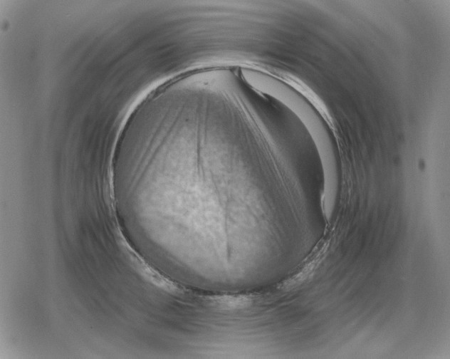 X0000079320996200612151813