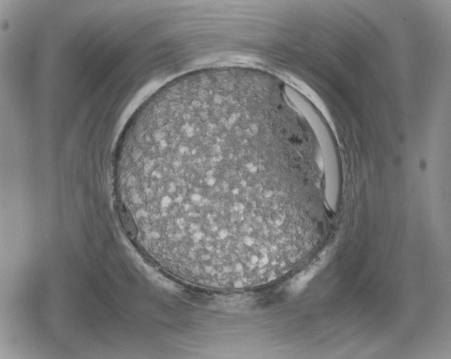 X0000079320997200612151813