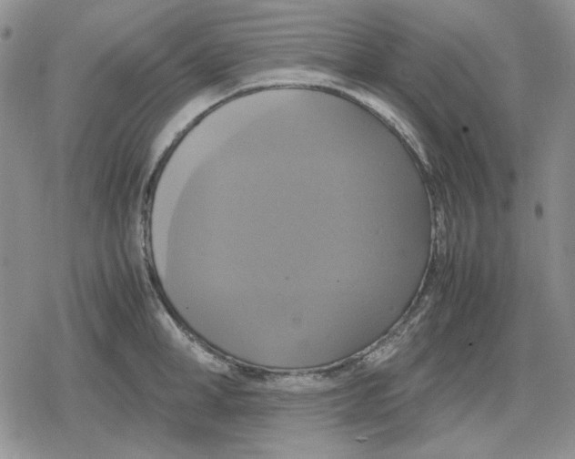 X0000079320998200612151812