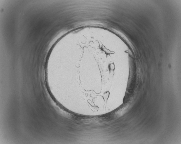 X0000079320999200612151812