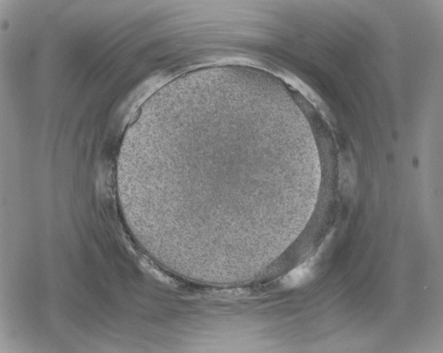 X0000079321001200612151812