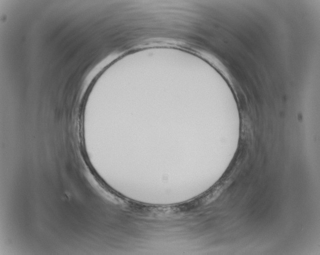 X0000079321003200612151812