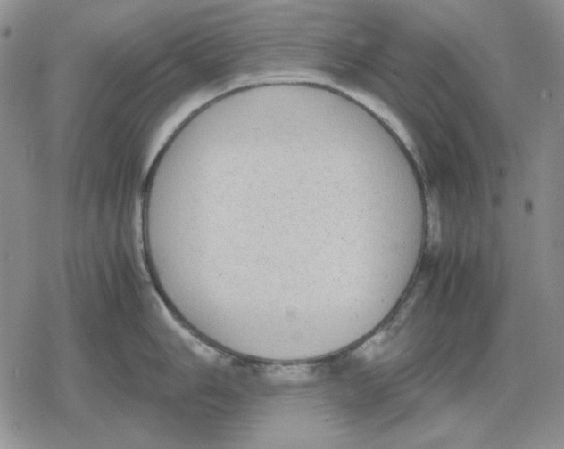 X0000079321006200612151812