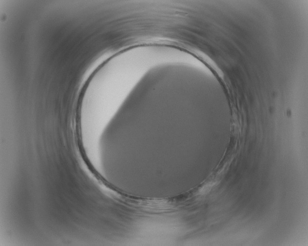 X0000079321007200612151812