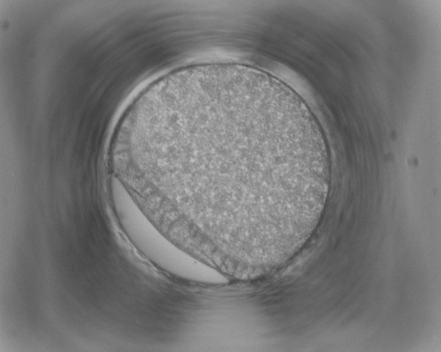 X0000079321008200612151812