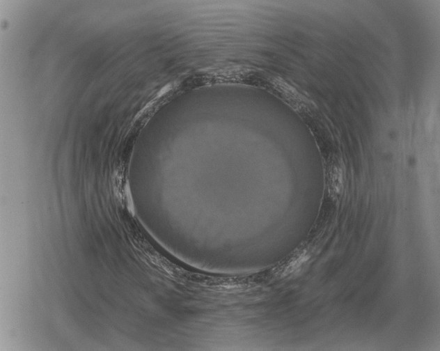 X0000079321010200612151812