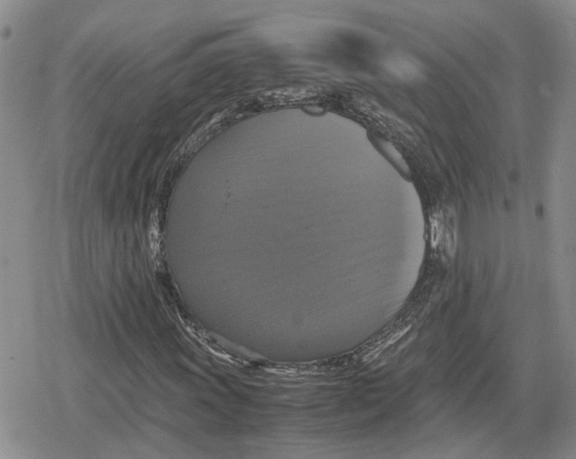 X0000079321011200612151812