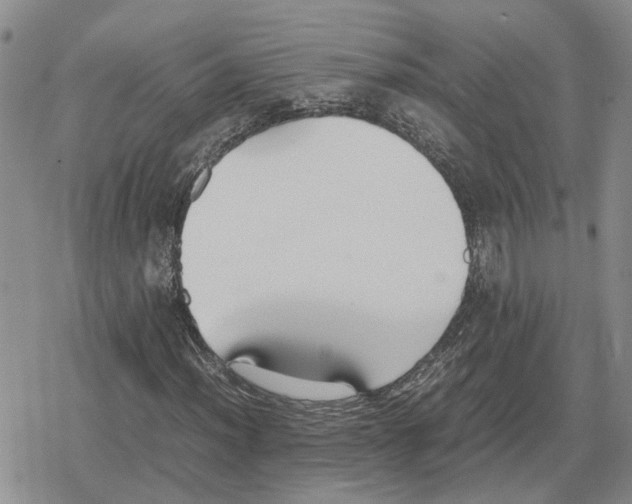 X0000079321012200612151812