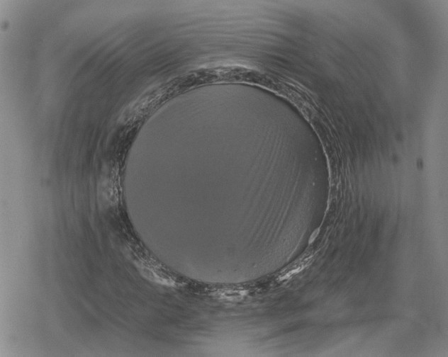 X0000079321014200612151812