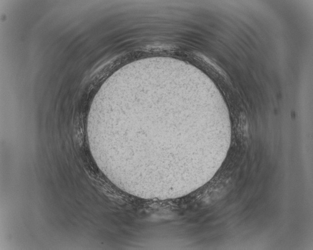 X0000079321015200612151812