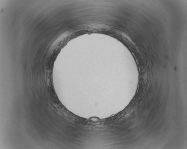 X0000079321016200612151812