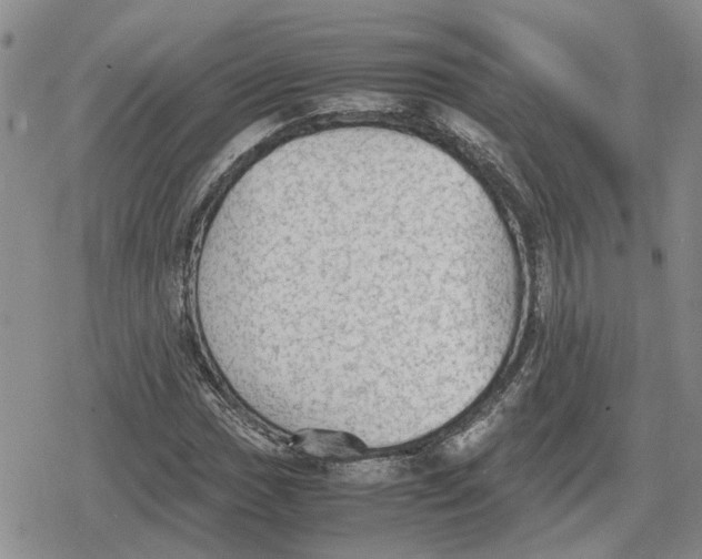 X0000079321017200612151812