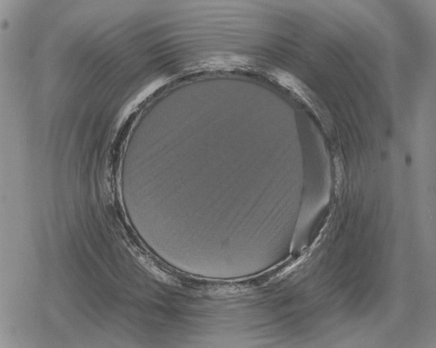 X0000079321018200612151812