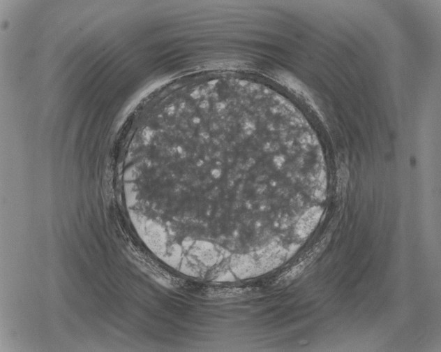 X0000079321019200612151812