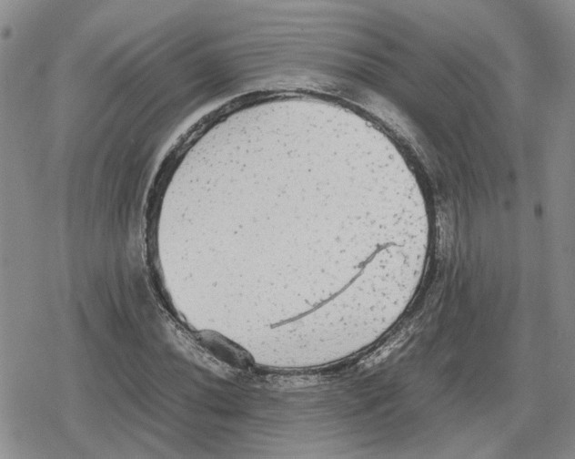 X0000079321020200612151812